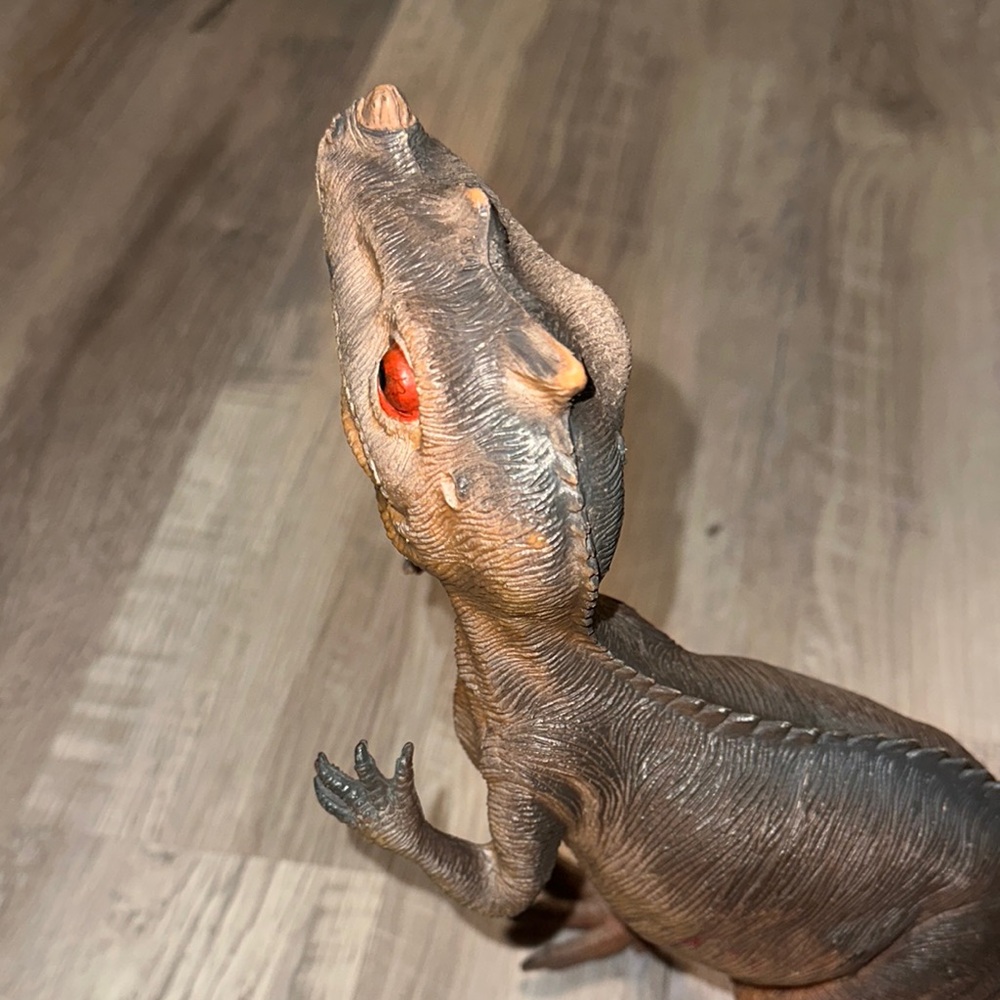 Ceratosaurus - Picture 4 of 4
